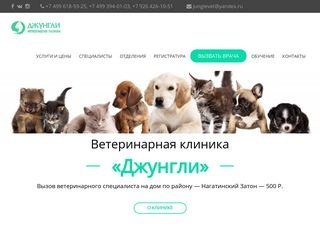 Широкий спектр ветеринарных услуг в специализированной клинике «Джунгли» - когда за качество в ответе