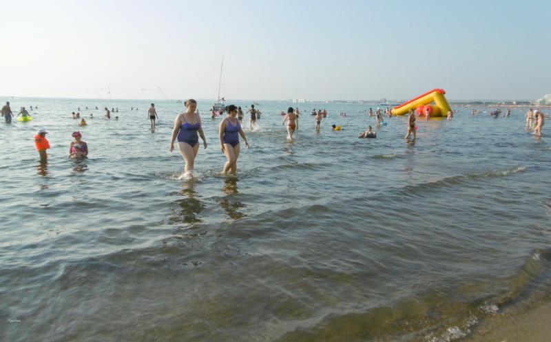 Пляжи Анапы остаются свободными от водорослей