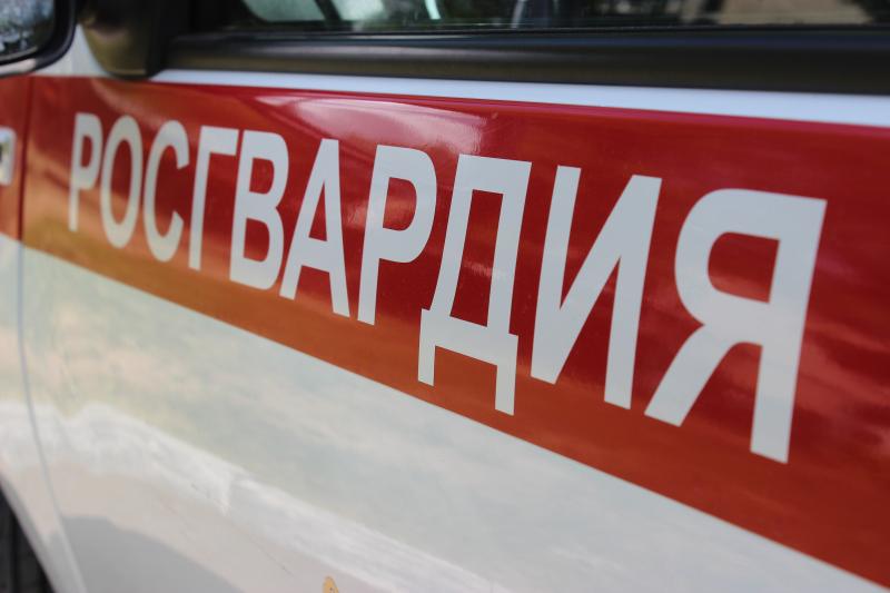 В Челябинске росгвардейцы задержали подозреваемого в краже товаров