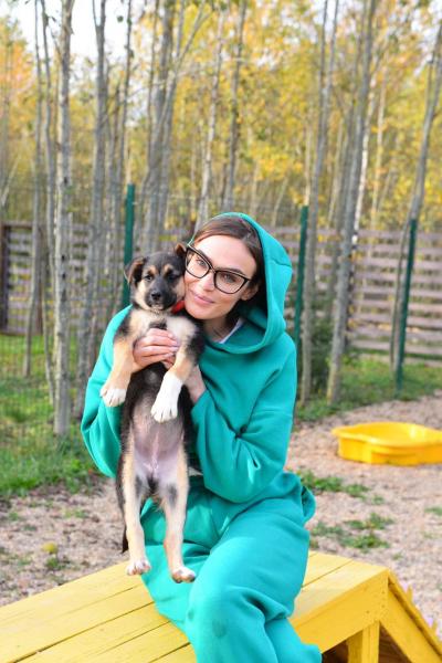 «Помогайте животным»: Алена Водонаева, Sabi Miss и Black4riday посетили приют животных «Котодетки»