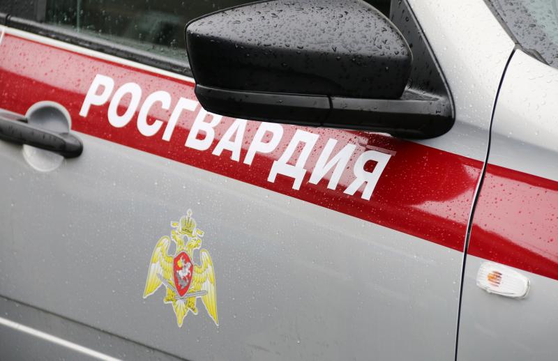 В Псковском районе росгвардейцы задержали гражданина, находившегося в розыске