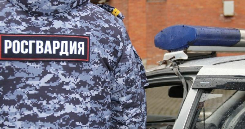 В Пскове росгвардейцы задержали подозреваемую в хищении