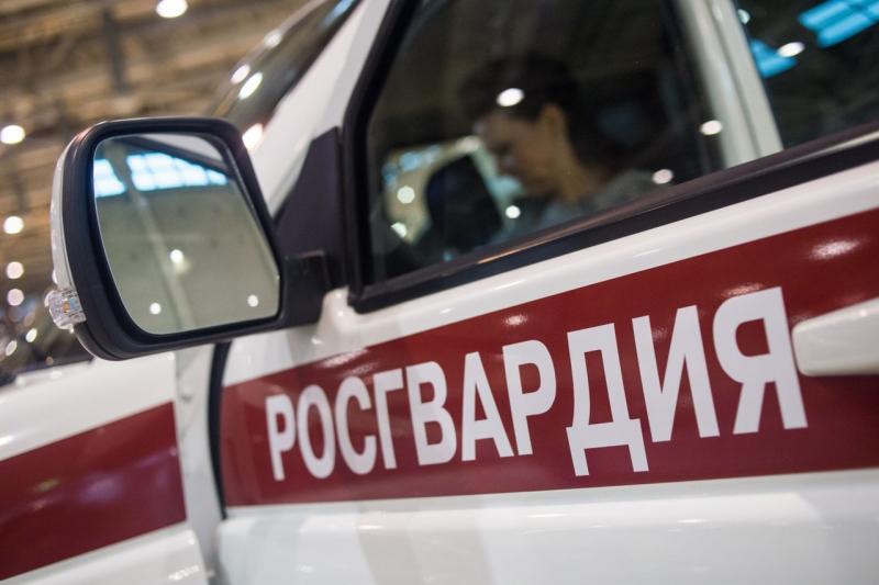 В Пскове сотрудники Росгвардии задержали подозреваемого в хищении
