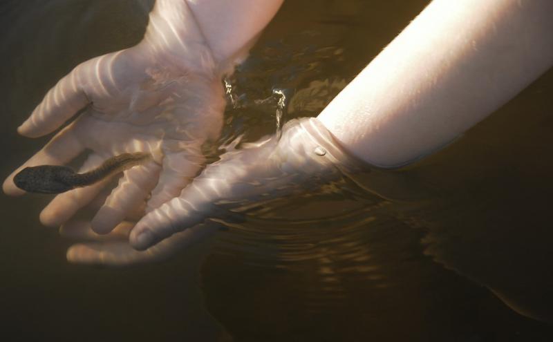 ГУПС «Водоканал» грозит должникам отключениями, а вода рекой течёт по улице