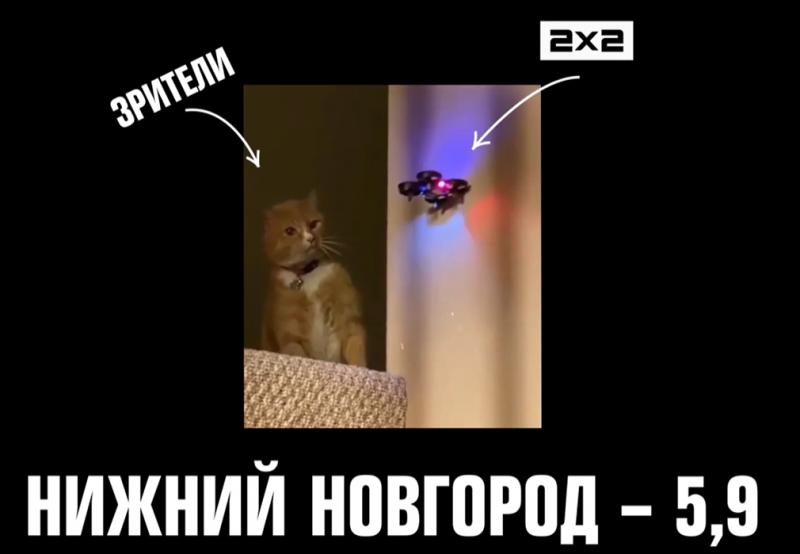 Самые преданные 2х2 котаны живут в Нижнем Новгороде
