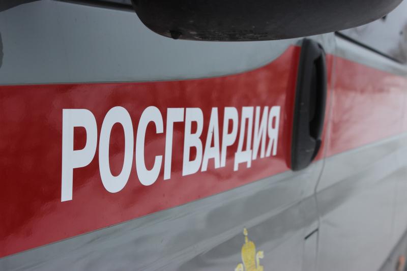 В  Челябинске сотрудники вневедомственной охраны задержали мужчину, находившегося в федеральном розыске