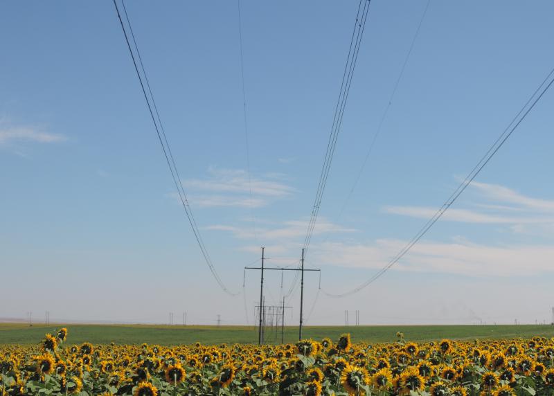 «Россети ФСК ЕЭС» заменили  опоры ключевых линий электропередачи в Саратовской области