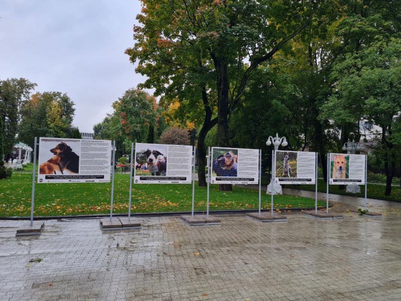 В Москве открывается уличная фотовыставка про выпускников из приютов для животных