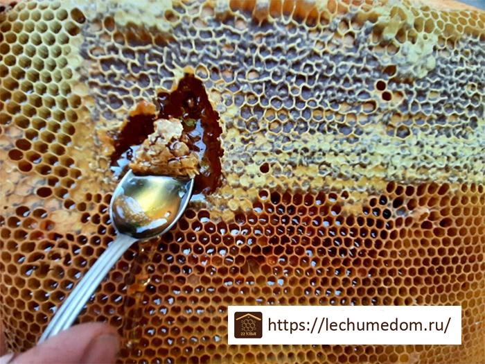 Сертифицированные продукты пчеловодства пасеки Канунниковых