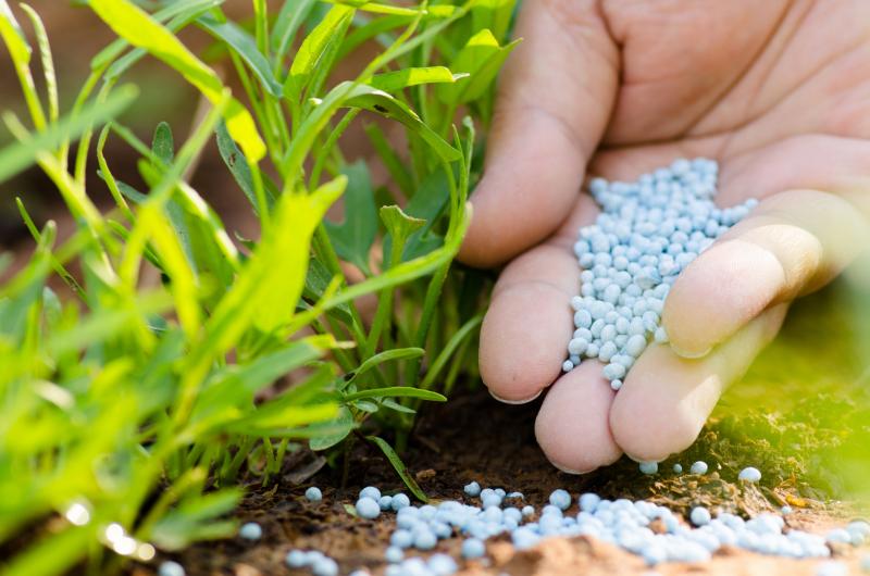 Fertilizer Market Segmentation and Analysis by Recent Trends, Development and Growth by Regions to 2028