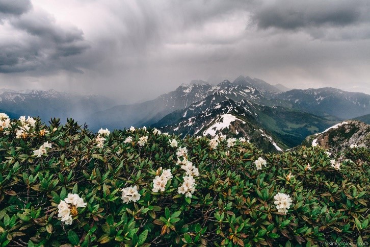 Современно. Курортно. Сочи.