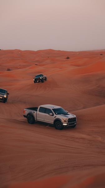 Things to Do In Dubai For the Best Move