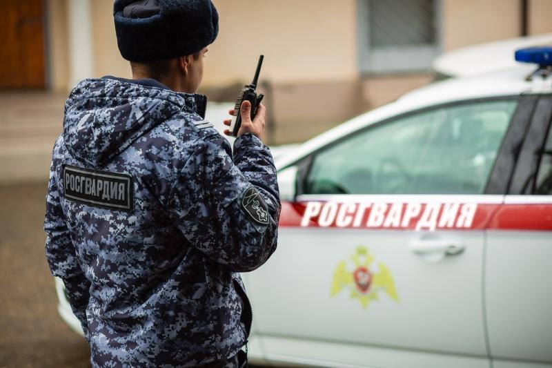 В Пензе сотрудниками Росгвардии задержаны двое мужчин, которые совершили кражу алкоголя на 15 тысяч рублей