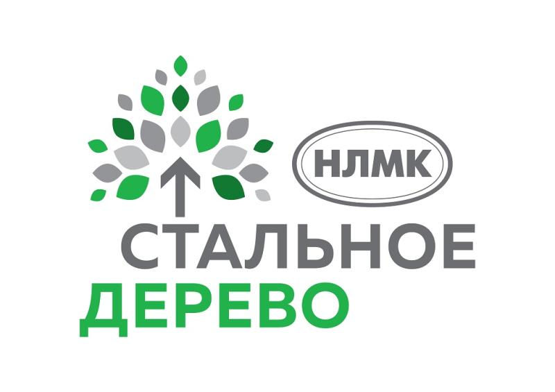 Жители пяти регионов России получат гранты на добрые дела от программы «Стальное дерево»