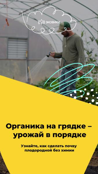 Стартовал онлайн марафон для Кировчан 