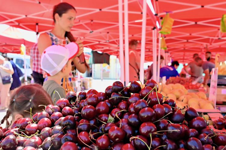 Ярмарка «Летняя» с успехом прошла в Севастополе, но были недовольные