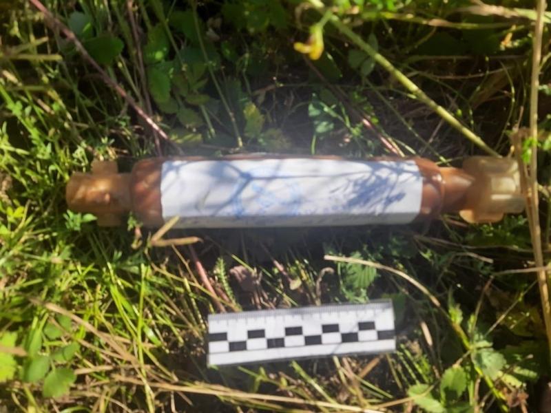 В Башкирии сотрудники Росгвардии обследовали найденный грибником взрывоопасный предмет