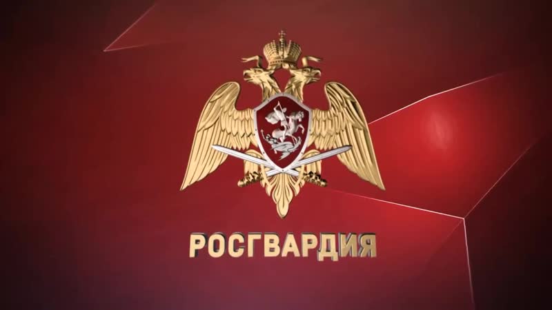 Росгвардейцы продолжают принимать участие в обеспечении правопорядка во время проведения матчей КХЛ и ВХЛ в Челябинске