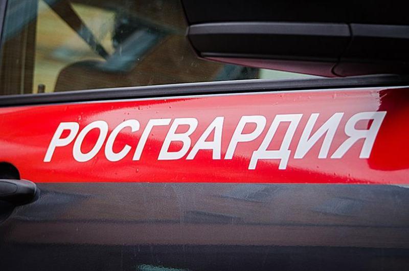 В Челябинске росгвардейцы задержали девушку, распылившую перцовый баллончик в лицо официантке
