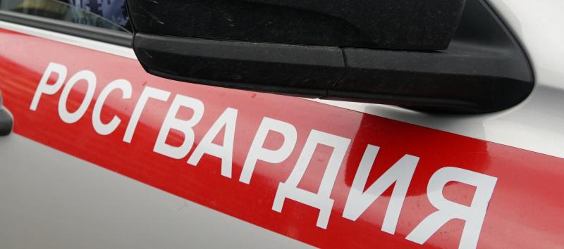 Кировские росгвардейцы задержали подозреваемых в кражах из магазинов