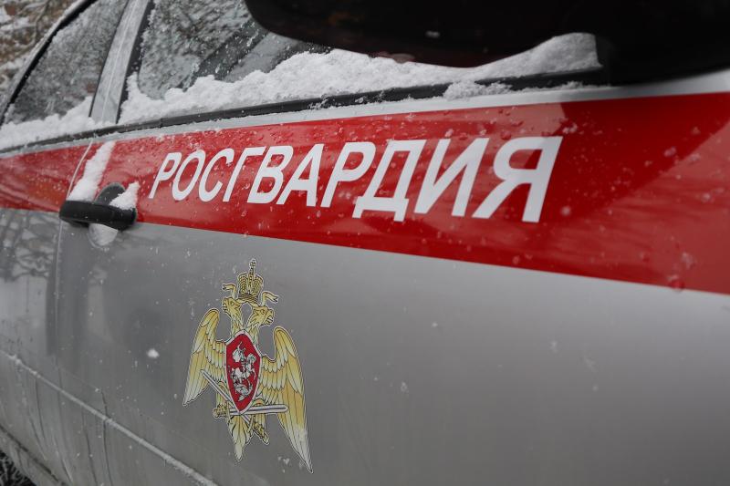 На Ставрополье сотрудники Росгвардии задержали правонарушителя