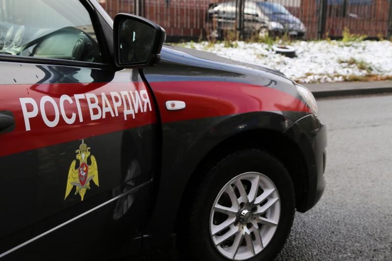 В Челябинске росгвардейцы задержали подозреваемого в краже смартфона