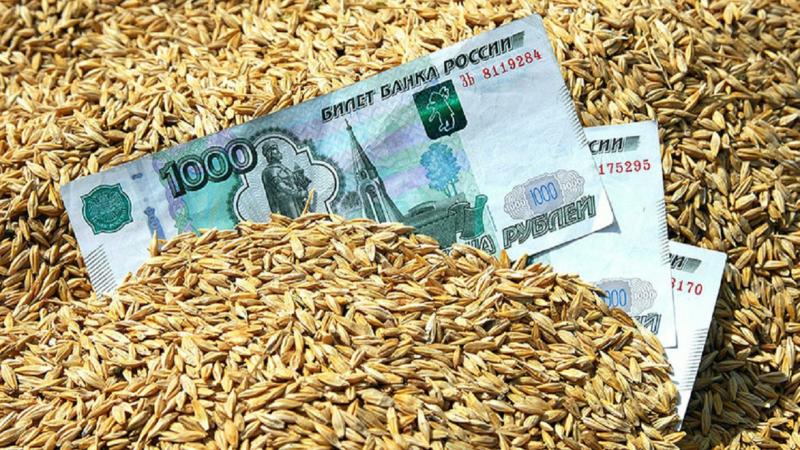 Владимир Маклашов требует деньги от страховой компании за давно засохший урожай