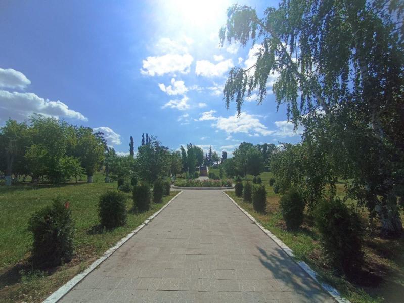 В военных городках в Саратове и Воронеже коммунальщиками проведены работы по озеленению