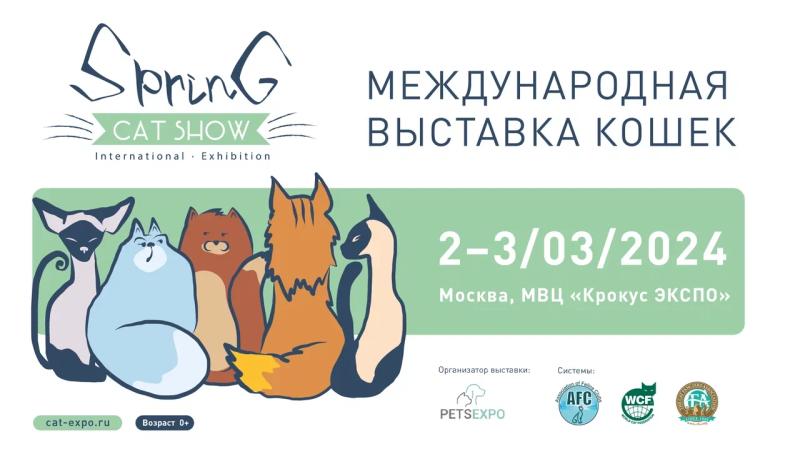 Международная выставка кошек «Spring Cat Show» состоится в Москве 2-3 марта