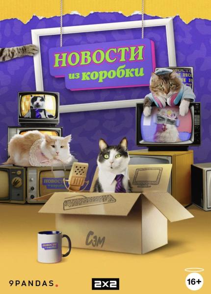 Телеканал 2х2 запустил первые в мире «Новости из коробки» с котиком-ведущим