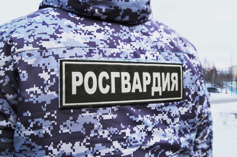 В Мордовии в период с 1 по 29 февраля росгвардейцы 398 раза выезжали по сигналу 