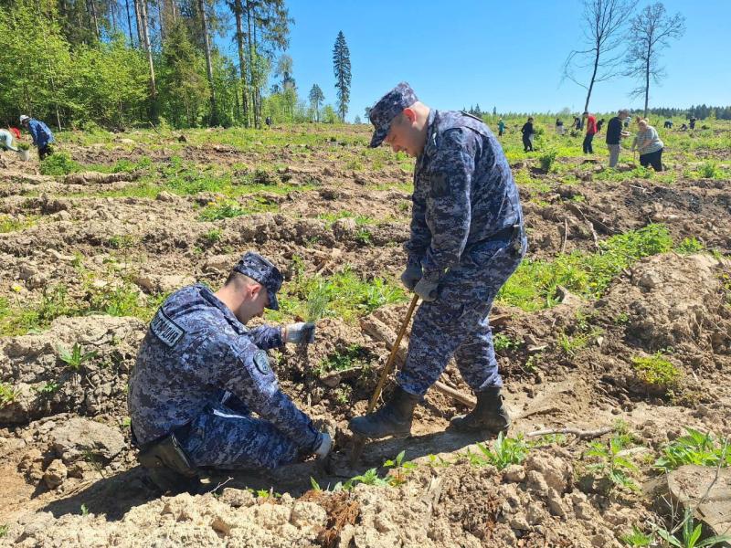 В Московской области сотрудники Росгвардии присоединились к ежегодной экологической акции «Наш лес. Посади свое дерево»