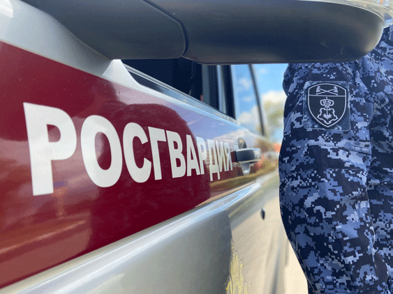 С начала недели ульяновскими росгвардейцами задержаны 45 нарушителей общественного порядка