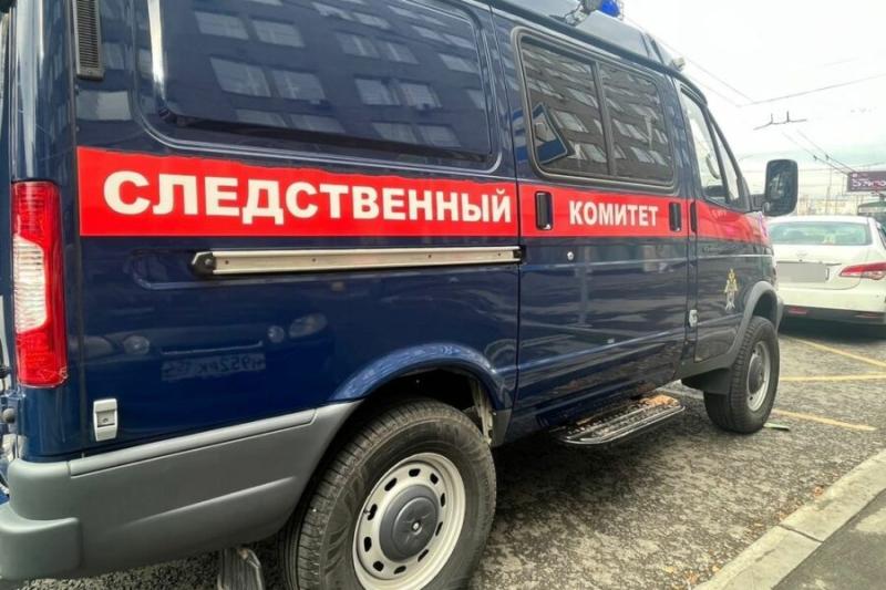 Подозреваемого в убийстве 12-летней девочки задержали в Сибири