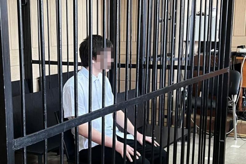 Студента новосибирского колледжа обвинили в диверсиях