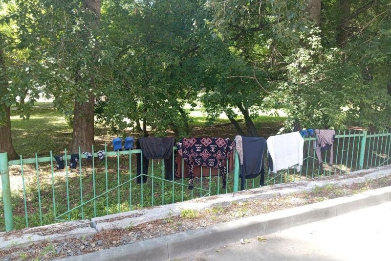 Мигрантка развешала постиранные вещи на забор школы в Новосибирске