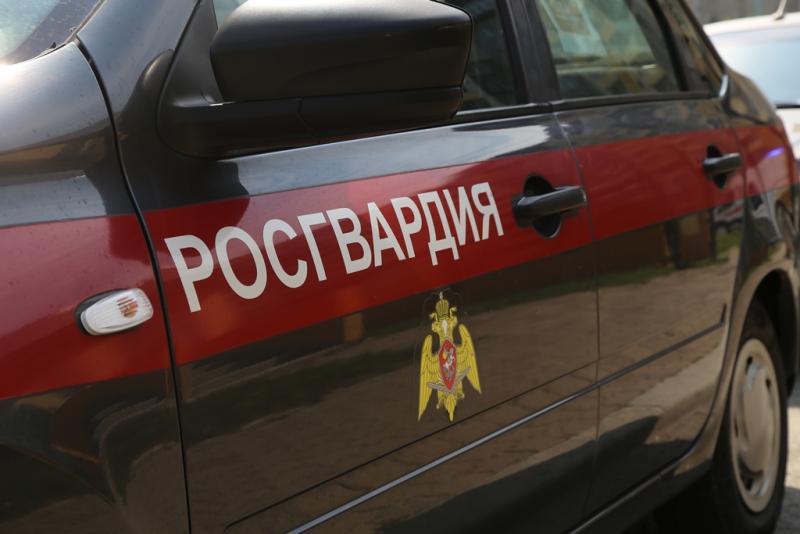 В Челябинске росгвардейцы задержали подозреваемого в повреждении чужого автомобиля