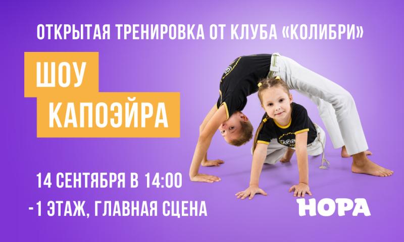 Шоу капоэйра от спортивного клуба «Колибри» в ТРЦ «Нора»