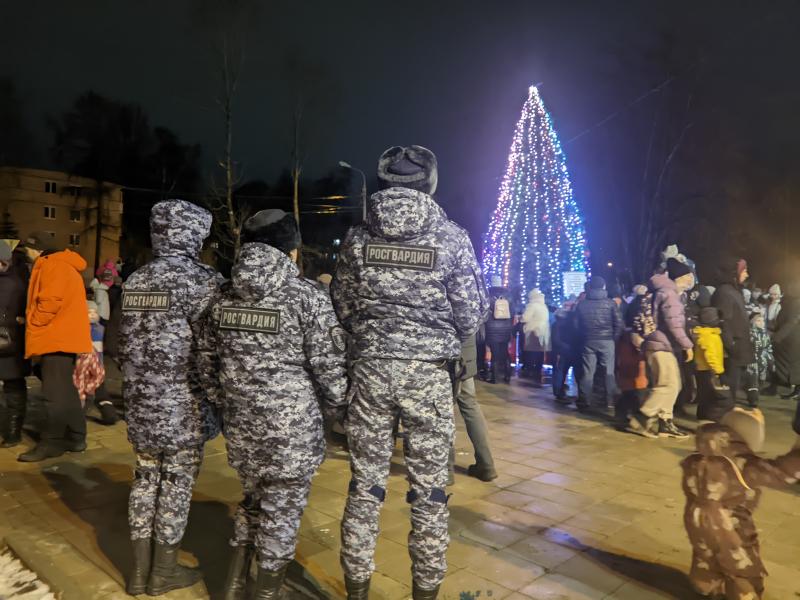 Зажжение иллюминации в парке 