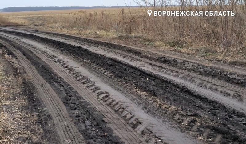 «Осенью по полтора месяца не можем выехать из поселка». Воронежские чиновники 12 лет тянут с устройством единственной дороги до Архангельского