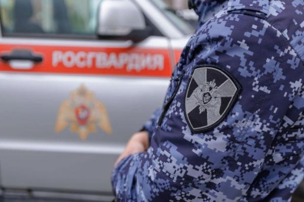 В Саранске росгвардейцы задержали гражданина по подозрению в совершении противоправных действий