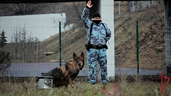 КИНОЛОГИ СТОЛИЧНОГО ГЛАВКА РОСГВАРДИИ ПРОВЕРИЛИ НАТРЕНИРОВАННОСТЬ СЛУЖЕБНЫХ СОБАК