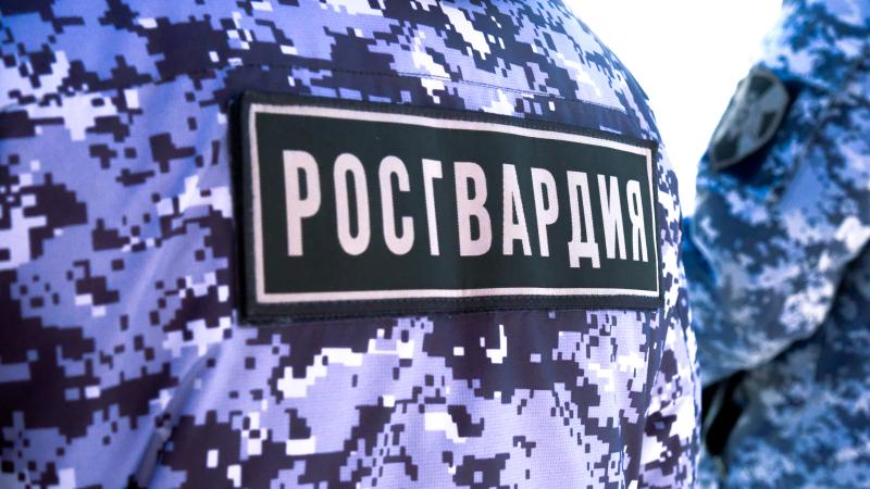 В Марий Эл росгвардейцы задержали гражданина, подозреваемого в хищении товара из супермаркета