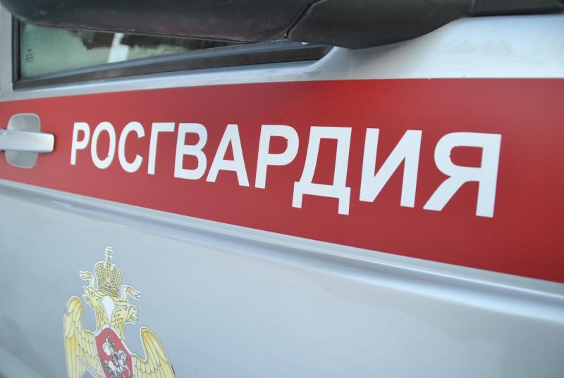 В Кирове росгвардейцы задержали подозреваемого в грабеже