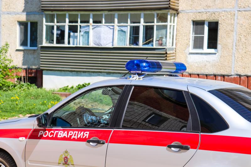 Сотрудники Росгвардии задержали подозреваемого в краже велосипеда в Республике Марий Эл