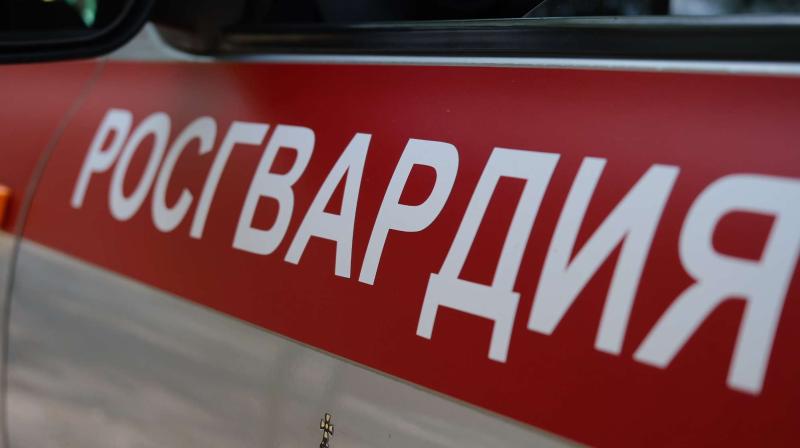 Патруль Росгвардии задержал нетрезвого водителя в Тамбовской области