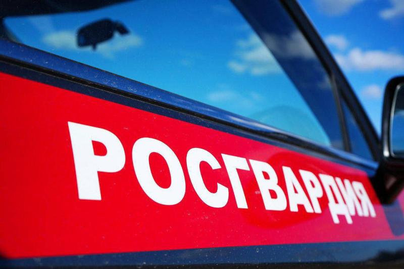 В Подмосковье росгвардейцы задержали подозреваемого в нанесении ножевого ранения