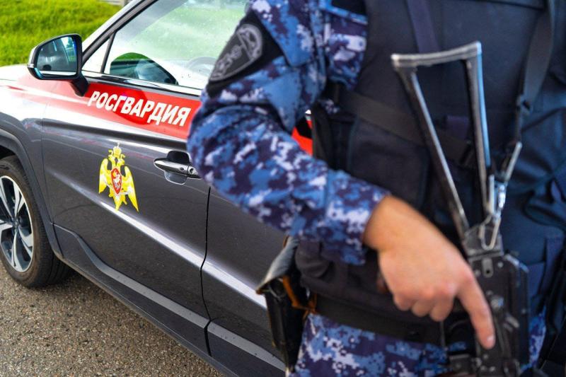 В Подольске росгвардейцы задержали подозреваемого в краже
