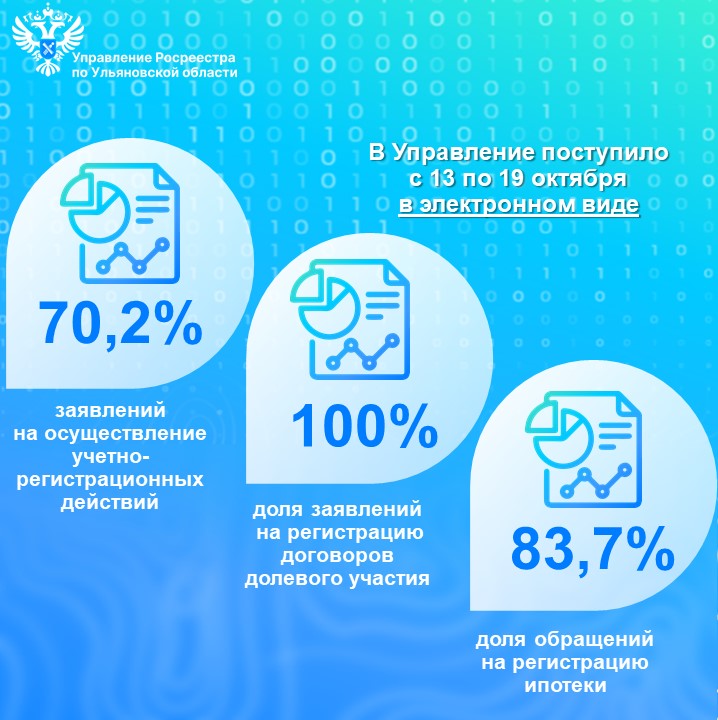 Электронные услуги (статистика) с 13 по 19 октября 2025 года