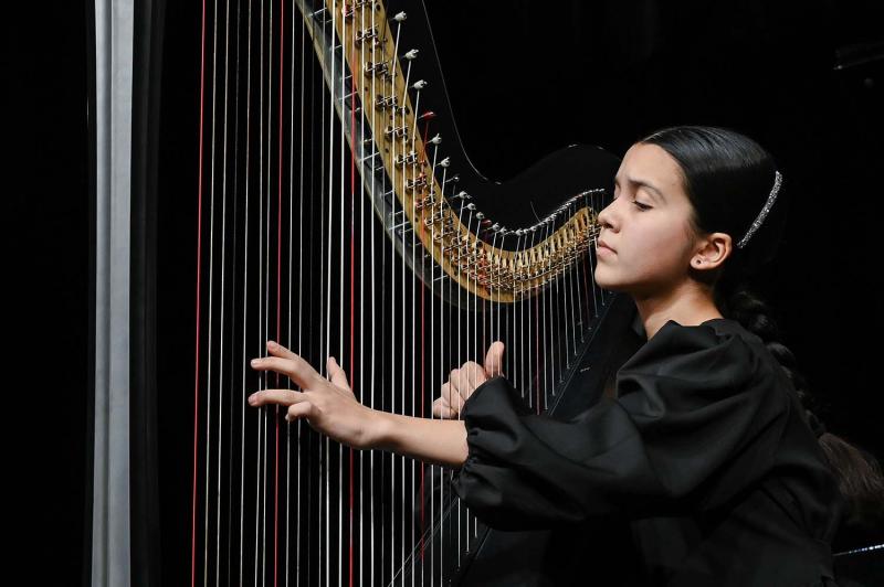 Объявлены победители V Межрегионального конкурса инструментального исполнительства «Золотая нота».